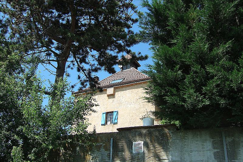 2010-06- (179).JPG